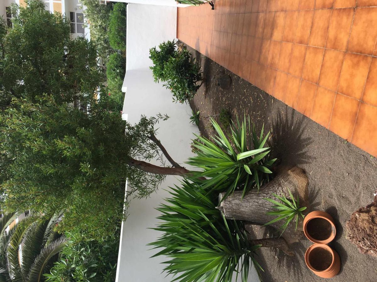 Apartamento Con Jardin Y Piscina B プエルト・デ・ラ・クルス エクステリア 写真